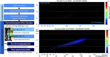 Graphical abstract: Pyrolysis-gas chromatography-mass spectrometry with electron-ionization and resonance-enhanced-multi-photon-ionization for the characterization of terrestrial dissolved organic matter in the Baltic Sea