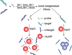 Graphical abstract: Visual detection of Listeria monocytogenes using unmodified gold nanoparticles based on a novel marker