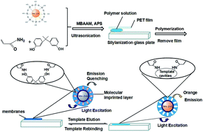 Graphical abstract: Mn-doped ZnS QDs entrapped in molecularly imprinted membranes for detection of trace bisphenol A