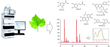 Graphical abstract: A reversed phase HPLC-DAD method for the determination of phenolic compounds in plant leaves