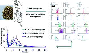 Graphical abstract: Simultaneous determination of two flavonoids and six pentacyclic triterpenes by UPLC-MS/MS: application to a comparative pharmacokinetic study in normal and arthritic rats after oral administration of Huo Luo Xiao Ling Dan or its single herb extract