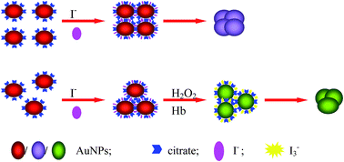 Graphical abstract: Sensitive and simple detection of trace hydrogen peroxide based on a resonance light scattering assay