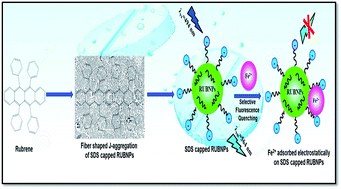 Graphical abstract: Selective sensing of Fe2+ ions in aqueous solution based on fluorescence quenching of SDS capped rubrene nanoparticles: application in pharmaceutical formulation