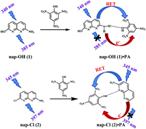 Graphical abstract: 1,8-Naphthyridine-based fluorescent receptors for picric acid detection in aqueous media