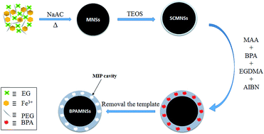 Graphical abstract: Solid phase extraction and spectrofluorometric determination of leached bisphenol A from some polycarbonate products under simulated use conditions using surface molecularly imprinted magnetite nanospheres