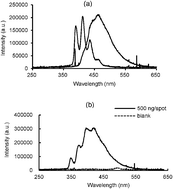 Graphical abstract: In situ simultaneous investigation of the transport of phenanthrene and fluoranthene adsorbed onto the root surfaces to tissues of mangrove seedlings