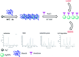 Graphical abstract: Determination of melamine and malachite green by surface-enhanced Raman scattering spectroscopy using starch-coated silver nanoparticles as substrates