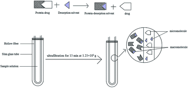 Graphical abstract: A HFCF-UF method to directly analyze the total concentration of protein-binding drugs