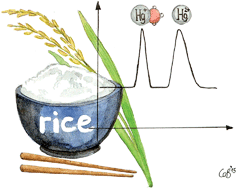 Graphical abstract: Quick and robust method for trace determination of MeHg in rice and rice products without derivatisation
