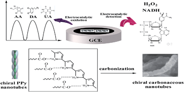 Graphical abstract: Novel left-handed double-helical chiral carbon nanotubes for electrochemical biosensing study