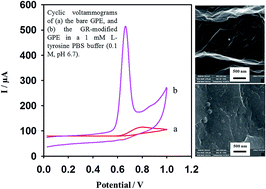 Graphical abstract: A novel, fast and cost effective graphene-modified graphite pencil electrode for trace quantification of l-tyrosine