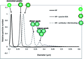 Graphical abstract: Characterisation of antibody conjugated particles and their influence on diagnostic assay response