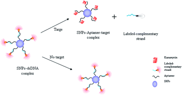 Graphical abstract: Detection of kanamycin by using an aptamer-based biosensor using silica nanoparticles