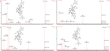 Graphical abstract: Kinetics and mechanism of 3,6′-disin apoylsucrose, tenuifoliside A, tenuifoliside B and tenuifoliside C degradation in aqueous solutions