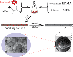 Graphical abstract: Sensitive determination of rose bengal in brown sugar by a molecularly imprinted solid-phase extraction monolithic capillary column coupled with capillary electrophoresis