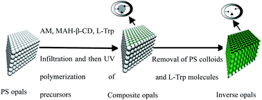 Graphical abstract: Free-standing molecularly imprinted photonic hydrogels based on β-cyclodextrin for the visual detection of l-tryptophan