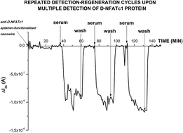 Graphical abstract: A SOI-nanowire biosensor for the multiple detection of D-NFATc1 protein in the serum