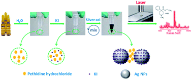 Graphical abstract: Rapid and simple detection of pethidine hydrochloride injection using surface-enhanced Raman spectroscopy based on silver aggregates