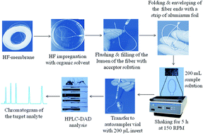 Graphical abstract: Hollow fiber-liquid phase microextraction for trace enrichment of the residues of atrazine and its major degradation products from environmental water and human urine samples