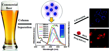 Graphical abstract: Fluorescent carbon dots from beer for breast cancer cell imaging and drug delivery