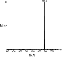 Graphical abstract: Characterization of polyamidoamino (PAMAM) dendrimers using in-line reversed phase LC electrospray ionization mass spectrometry