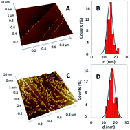 Graphical abstract: Amperometric magnetobiosensors using poly(dopamine)-modified Fe3O4 magnetic nanoparticles for the detection of phenolic compounds