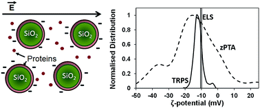 Graphical abstract: A systematic comparison of different techniques to determine the zeta potential of silica nanoparticles in biological medium