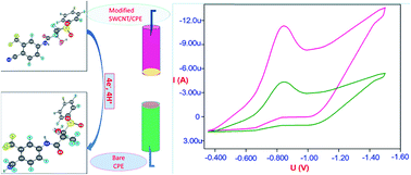 Graphical abstract: Development of an electrochemical method for the determination of bicalutamide at the SWCNT/CPE in pharmaceutical preparations and human biological fluids