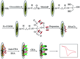 Graphical abstract: Multi-walled carbon nanotubes–chitosan with a branched structure modified with ferrocenecarboxylic acid for carcinoembryonic antigen detection