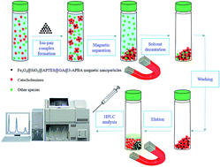 Graphical abstract: Selective micro solid-phase extraction of epinephrine, norepinephrine and dopamine from human urine and plasma using aminophenylboronic acid covalently immobilized on magnetic nanoparticles followed by high-performance liquid chromatography-fluorescence detection