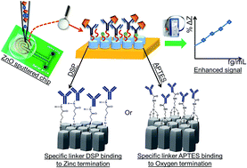 Graphical abstract: A novel approach for electrical tuning of nano-textured zinc oxide surfaces for ultra-sensitive troponin-T detection