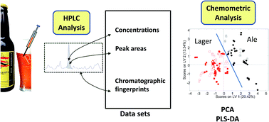 Graphical abstract: Liquid chromatographic fingerprints and profiles of polyphenolic compounds applied to the chemometric characterization and classification of beers