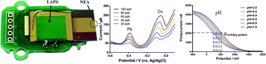 Graphical abstract: Design of a miniaturized multisensor chip with nanoband electrode array and light addressable potentiometric sensor for ion sensing