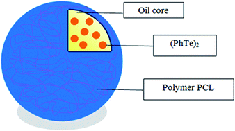 Graphical abstract: Production and characterization of diphenyl ditelluride-loaded nanocapsules: validation using an analytical method