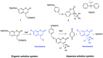 Graphical abstract: Fluorescent turn-on probes for the detection of fluoride ions in organic solvent and in cells