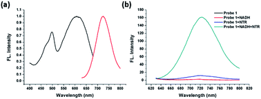 Graphical abstract: A cyanine-derived “turn-on” fluorescent probe for imaging nitroreductase in hypoxic tumor cells