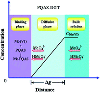 Graphical abstract: Determination of Mo(vi) in water with poly(quaternary ammonium salt) as a binding phase of diffusive gradients in thin-films