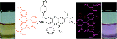 Graphical abstract: A fluorescent probe for the discrimination between Cys and GSH