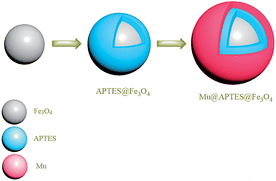 Graphical abstract: Solid phase extraction of Pb(ii) and Cd(ii) ions based on murexide functionalized magnetic nanoparticles with the aid of experimental design methodology