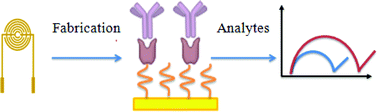 Graphical abstract: The art of signal transforming: electrodes and their smart applications in electrochemical sensing