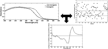 Graphical abstract: Ultraviolet spectroscopy and supervised pattern recognition methods for authentication of transgenic and non-transgenic soybean oils