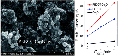 Graphical abstract: Electrochemical preparation of a three dimensional PEDOT–CuxO hybrid for enhanced oxidation and sensitive detection of hydrazine
