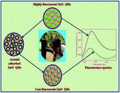 Graphical abstract: Determination of arsenic in water using fluorescent ZnO quantum dots