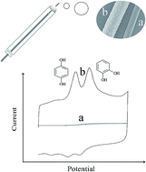 Graphical abstract: A microsensor for hydroquinone and catechol based on a poly(3,4-ethylenedioxythiophene) modified carbon fiber electrode
