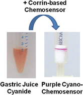 Graphical abstract: Cyanide detection in gastric juice with corrin-based chemosensors