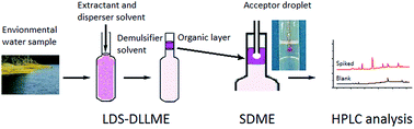 Graphical abstract: Dispersive liquid–liquid microextraction coupled with single-drop microextraction for the fast determination of sulfonamides in environmental water samples by high performance liquid chromatography-ultraviolet detection