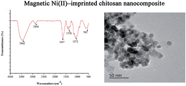 Graphical abstract: Use of a new magnetic ion–imprinted nanocomposite adsorbent for selective and rapid preconcentration and determination of trace nickel by flame atomic absorption spectrometry