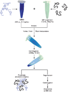 Graphical abstract: Coomassie Brilliant Blue-binding: a simple and effective method for the determination of water-insoluble protein surface hydrophobicity