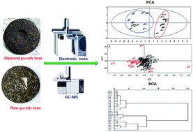 Graphical abstract: Differentiation of two types of pu-erh teas by using an electronic nose and ultrasound-assisted extraction-dispersive liquid–liquid microextraction-gas chromatography-mass spectrometry