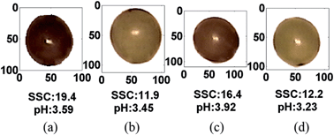 Graphical abstract: Non-invasive measurement of soluble solid content and pH in Kyoho grapes using a computer vision technique